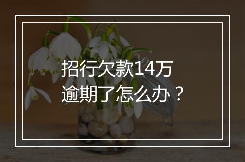 招行欠款14万逾期了怎么办？