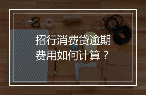 招行消费贷逾期费用如何计算？
