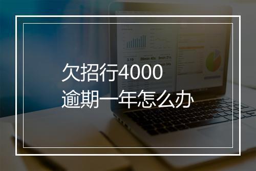 欠招行4000逾期一年怎么办