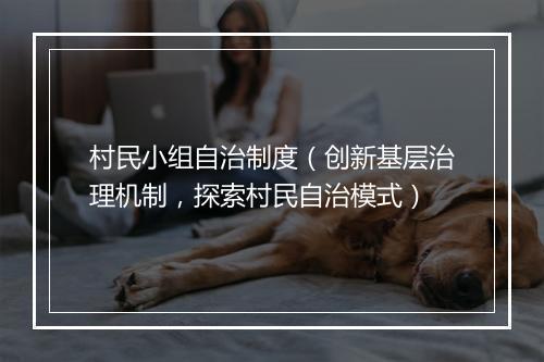 村民小组自治制度（创新基层治理机制，探索村民自治模式）