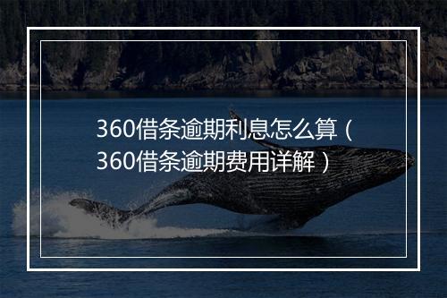 360借条逾期利息怎么算（360借条逾期费用详解）