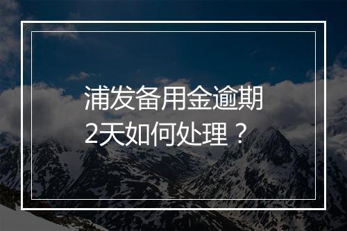 浦发备用金逾期2天如何处理？