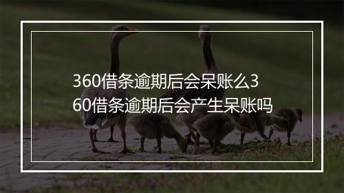 360借条逾期后会呆账么360借条逾期后会产生呆账吗