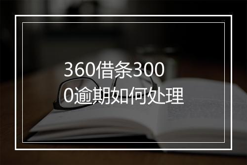 360借条3000逾期如何处理