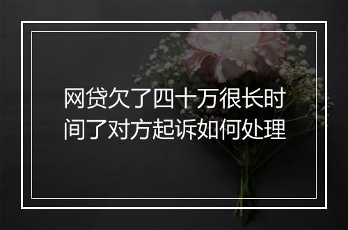 网贷欠了四十万很长时间了对方起诉如何处理