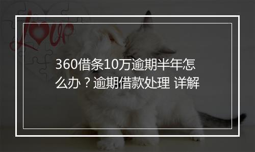 360借条10万逾期半年怎么办？逾期借款处理 详解