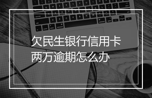 欠民生银行信用卡两万逾期怎么办