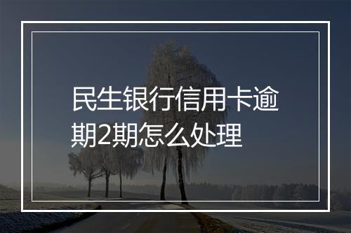 民生银行信用卡逾期2期怎么处理