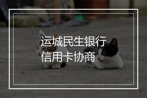 运城民生银行信用卡协商