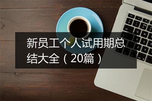新员工个人试用期总结大全（20篇）