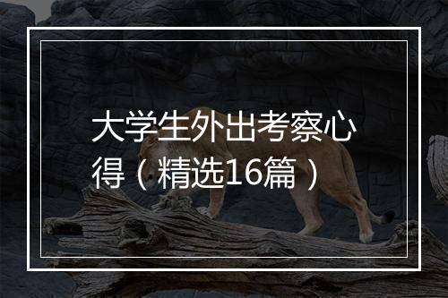 大学生外出考察心得（精选16篇）