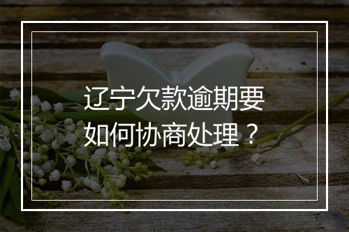 辽宁欠款逾期要如何协商处理？