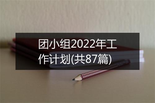 团小组2022年工作计划(共87篇)