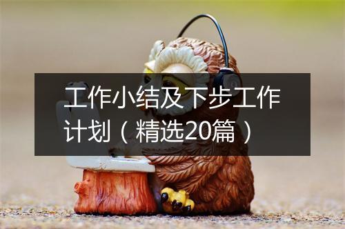 工作小结及下步工作计划（精选20篇）