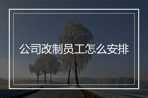 公司改制员工怎么安排