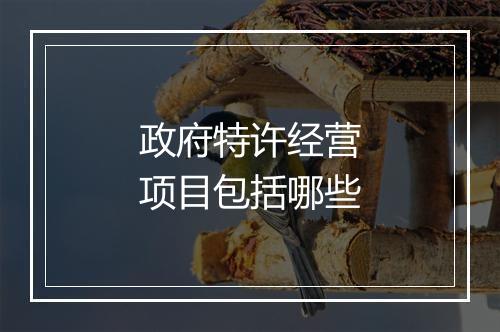 政府特许经营项目包括哪些