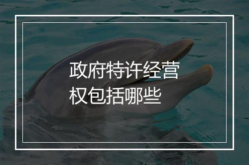 政府特许经营权包括哪些