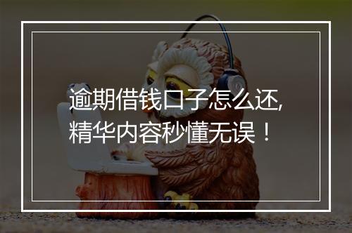 逾期借钱口子怎么还,精华内容秒懂无误！