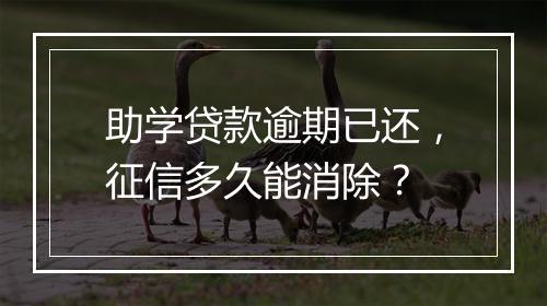 助学贷款逾期已还，征信多久能消除？