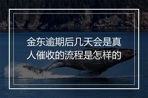 金东逾期后几天会是真人催收的流程是怎样的