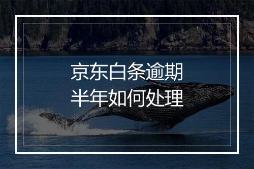 京东白条逾期半年如何处理
