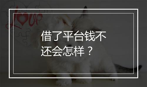 借了平台钱不还会怎样？