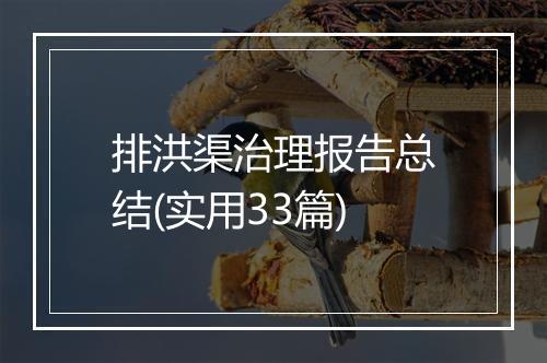 排洪渠治理报告总结(实用33篇)