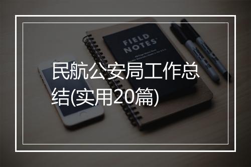 民航公安局工作总结(实用20篇)