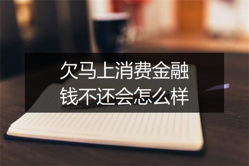 欠马上消费金融钱不还会怎么样