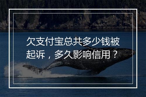 欠支付宝总共多少钱被起诉，多久影响信用？
