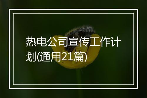 热电公司宣传工作计划(通用21篇)