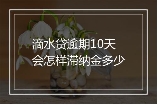 滴水贷逾期10天会怎样滞纳金多少