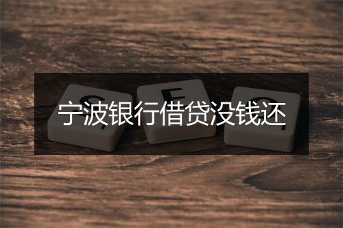 宁波银行借贷没钱还