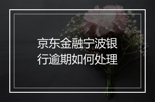 京东金融宁波银行逾期如何处理