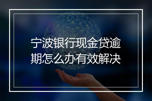 宁波银行现金贷逾期怎么办有效解决