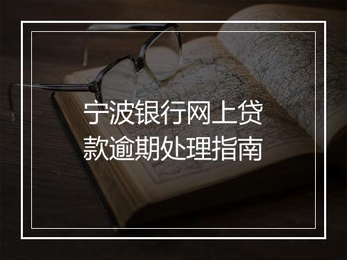 宁波银行网上贷款逾期处理指南