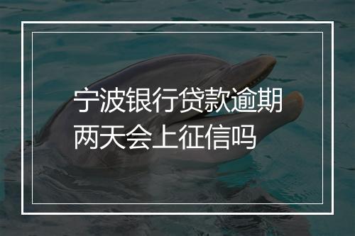 宁波银行贷款逾期两天会上征信吗