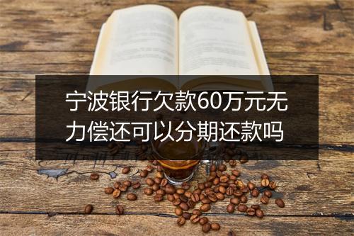 宁波银行欠款60万元无力偿还可以分期还款吗