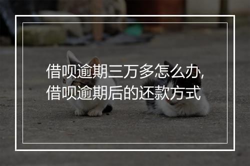 借呗逾期三万多怎么办,借呗逾期后的还款方式
