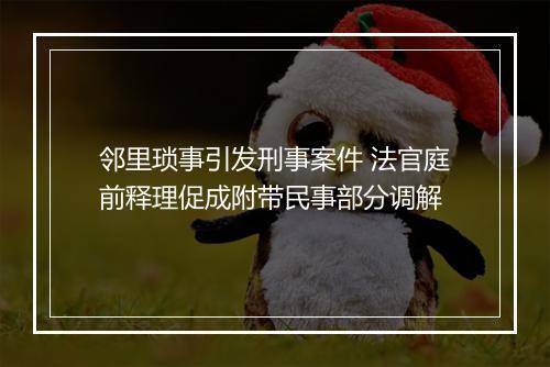 邻里琐事引发刑事案件 法官庭前释理促成附带民事部分调解