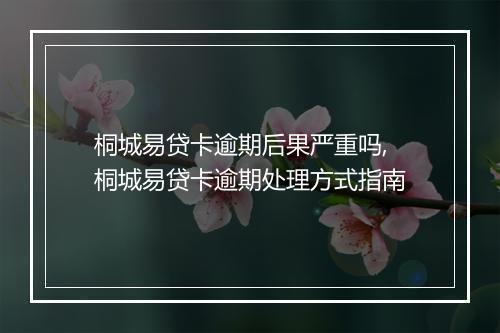 桐城易贷卡逾期后果严重吗,桐城易贷卡逾期处理方式指南