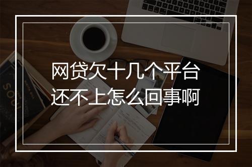 网贷欠十几个平台还不上怎么回事啊