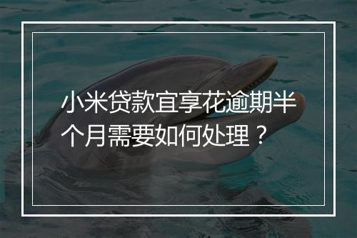 小米贷款宜享花逾期半个月需要如何处理？