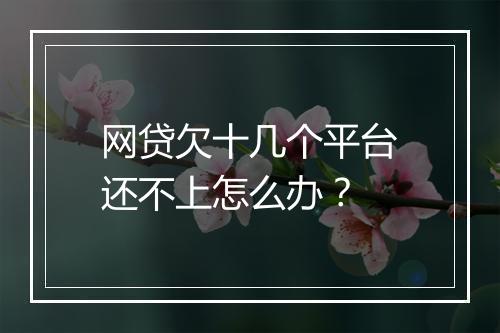 网贷欠十几个平台还不上怎么办？