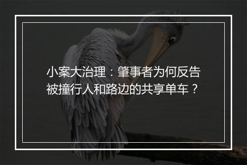小案大治理：肇事者为何反告被撞行人和路边的共享单车？