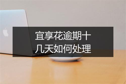 宜享花逾期十几天如何处理