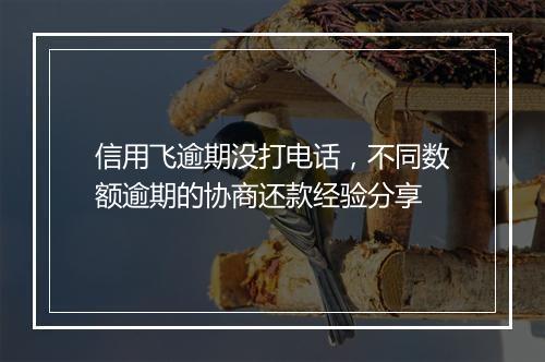 信用飞逾期没打电话，不同数额逾期的协商还款经验分享