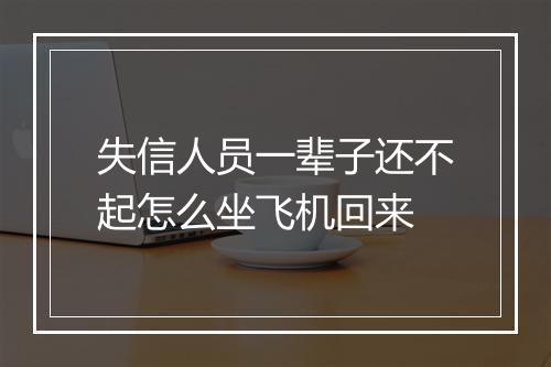 失信人员一辈子还不起怎么坐飞机回来