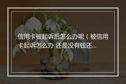 信用卡被起诉后怎么办呢（被信用卡起诉怎么办 还是没有钱还）