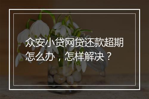 众安小贷网贷还款超期怎么办，怎样解决？